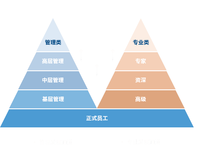 z6尊龙凯时 